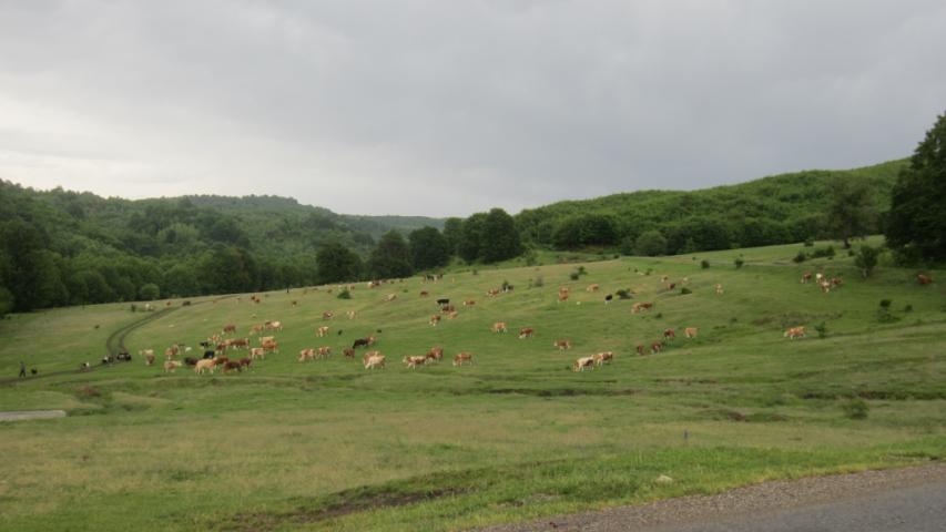 Májusi motorozás